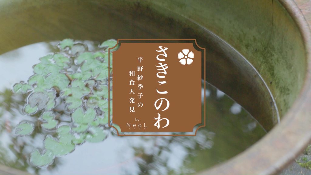 【CS番組】さきこのわ ～平野紗季子の和食大発見～（2014/30min）